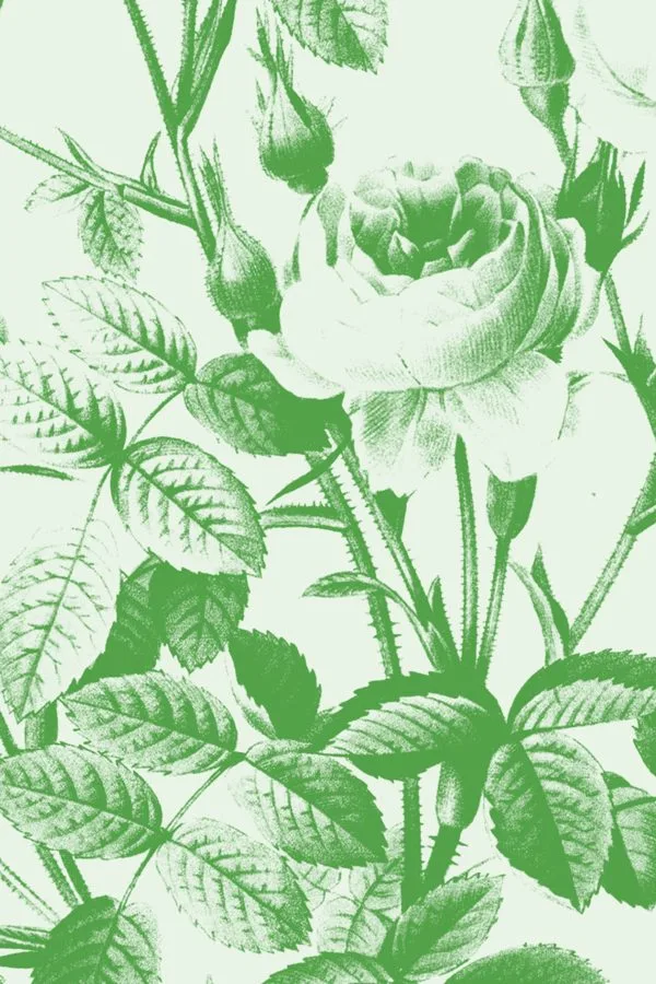 A green botanical rose pattern